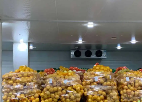 水果冷藏库造价 水果冷藏库造价