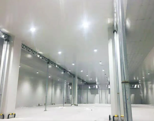 低温冷库 低温冷库