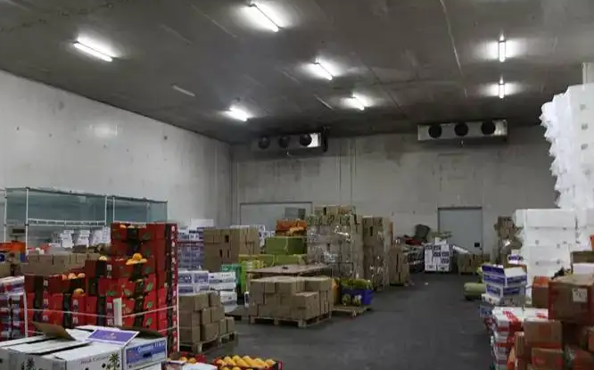 冷库 冷库