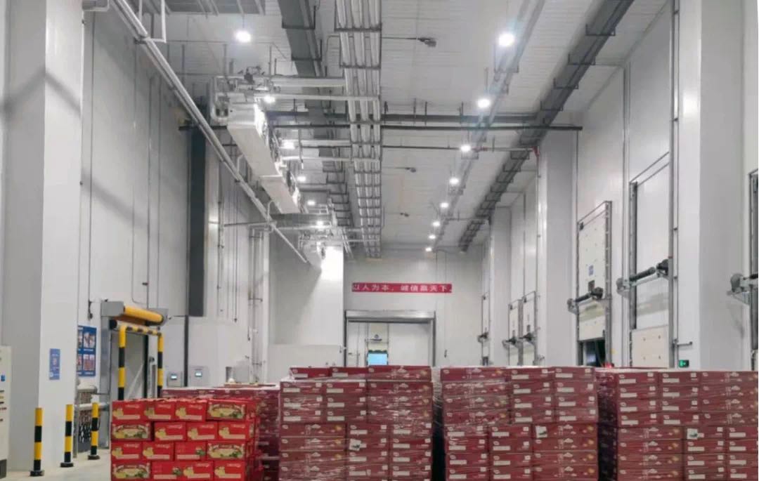 果蔬冷库 果蔬冷库