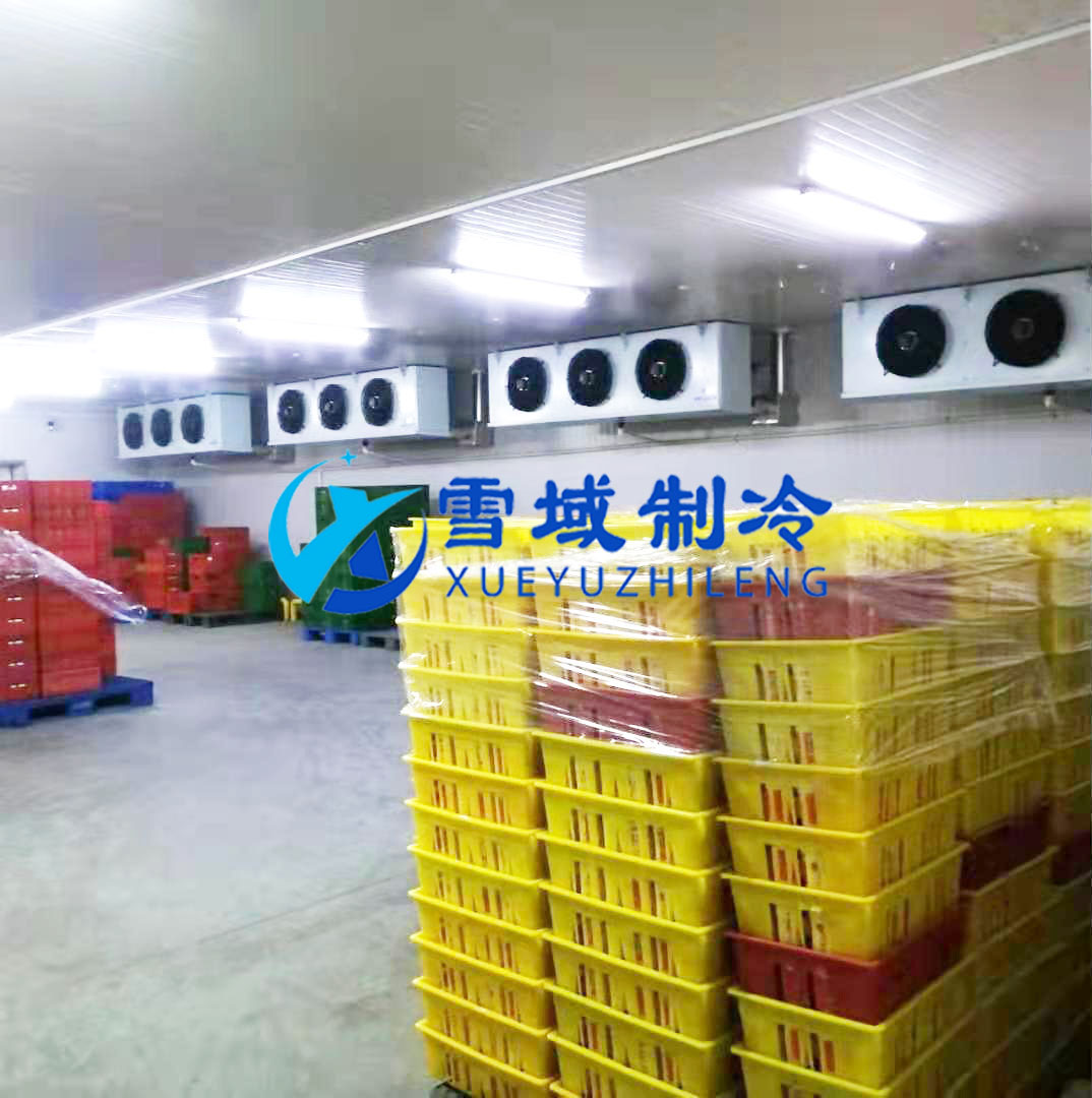 徐州卫岗速冻冷库现场图片 徐州卫岗速冻冷库现场图片