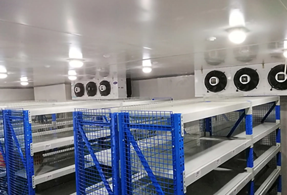 医药冷库 医药冷库