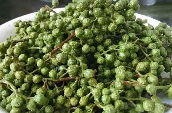 藤椒冷库设计 藤椒冷库设计