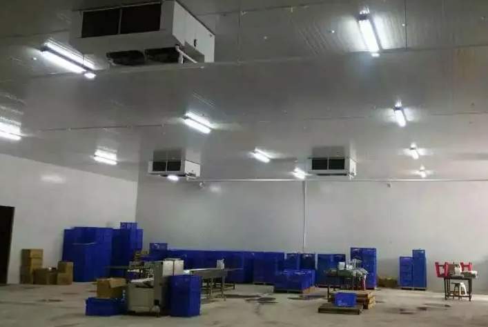 食品冷库为什么不推荐建造地下室 食品冷库为什么不推荐建造地下室