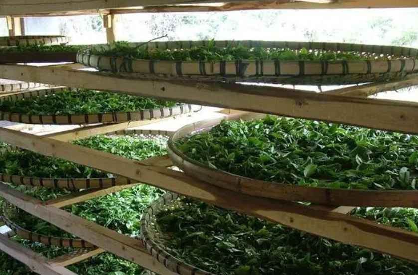 建造茶叶冷库过程中需要注意哪些事项? 建造茶叶冷库过程中需要注意哪些事项?