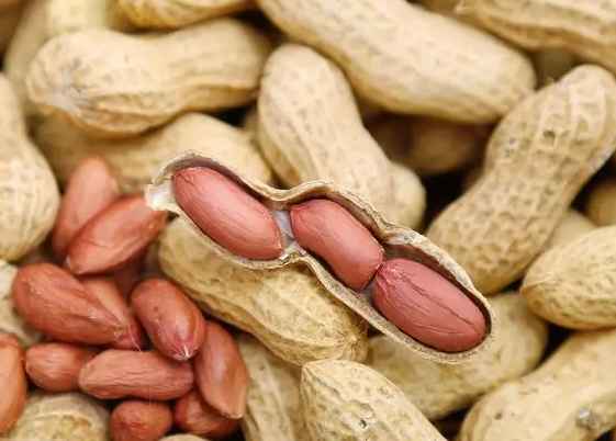 五百立方花生保鲜冷库造价多少钱 五百立方花生保鲜冷库造价多少钱