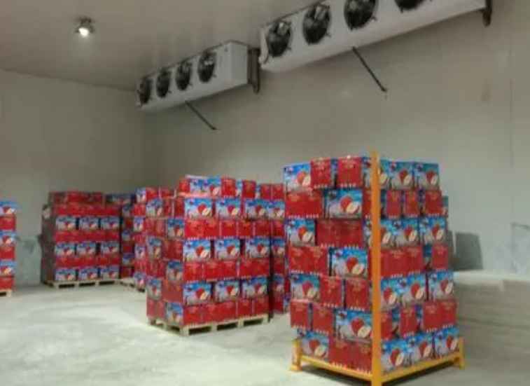 维修一个冷冻库大约需要多少钱 维修一个冷冻库大约需要多少钱