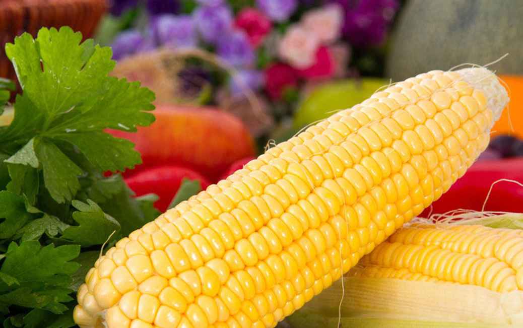 大量新鲜玉米怎么保鲜冷库存放呢 大量新鲜玉米怎么保鲜冷库存放呢