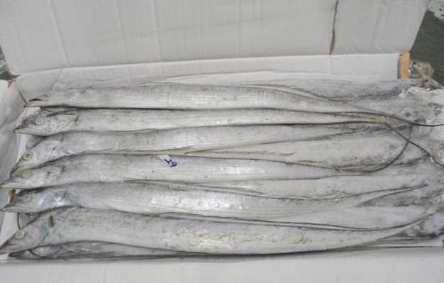 50平米带鱼冷库安装价格多少钱 50平米带鱼冷库安装价格多少钱