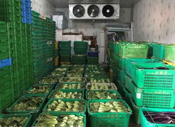 莲雾怎么在保鲜冷库中保存 莲雾怎么在保鲜冷库中保存