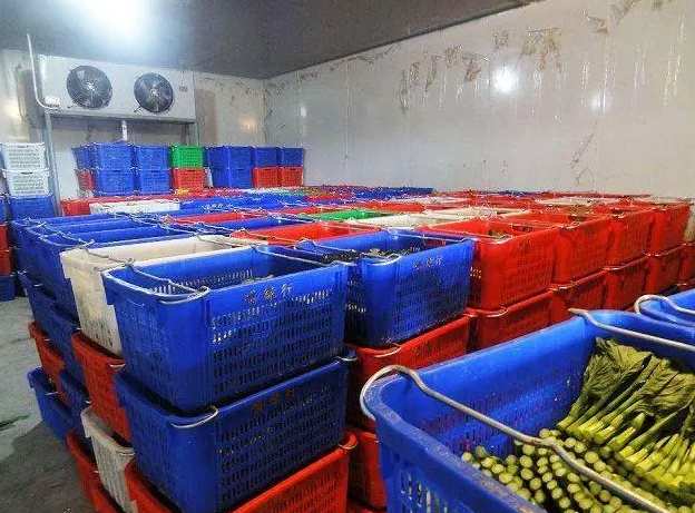 建造大型蔬菜保鲜冷库造价多少钱 建造大型蔬菜保鲜冷库造价多少钱