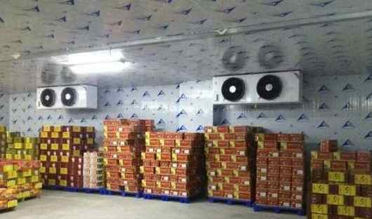 水果冷藏库改造优化方案 水果冷藏库改造优化方案