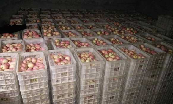 安装30平米苹果保鲜冷库大约需要多少钱 安装30平米苹果保鲜冷库大约需要多少钱