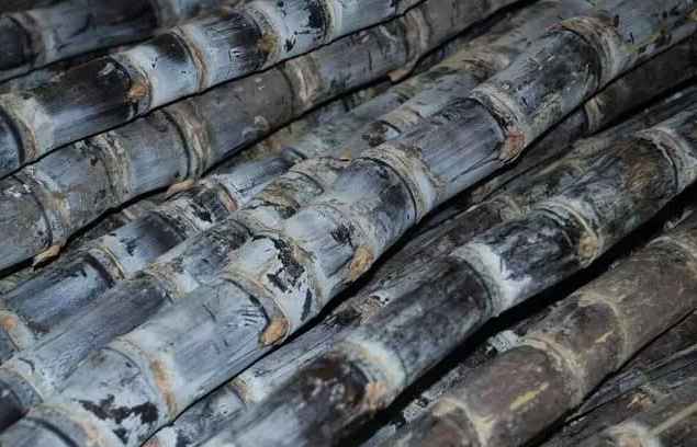 建造甘蔗保鲜冷库价格多少钱 建造甘蔗保鲜冷库价格多少钱