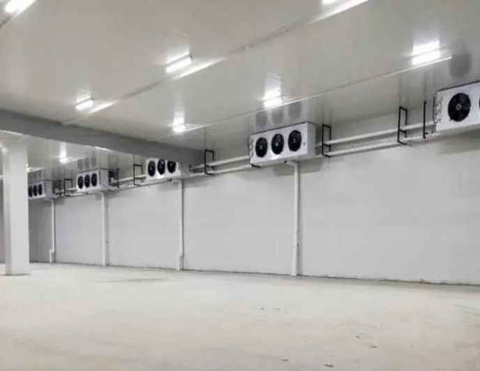 如何优化冷库的运作效率 如何优化冷库的运作效率