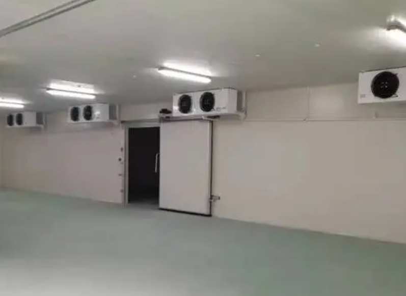 建一个5000吨的海鲜冷库要多少钱 建一个5000吨的海鲜冷库要多少钱