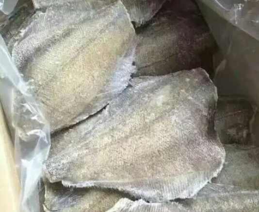 安装50平米冻鱼冷冻冷库价格多少钱 安装50平米冻鱼冷冻冷库价格多少钱