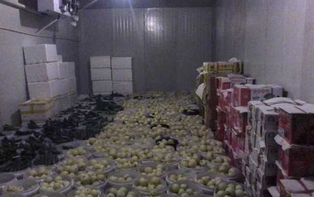 保鲜冷库可以存放哪些东西 保鲜冷库可以存放哪些东西