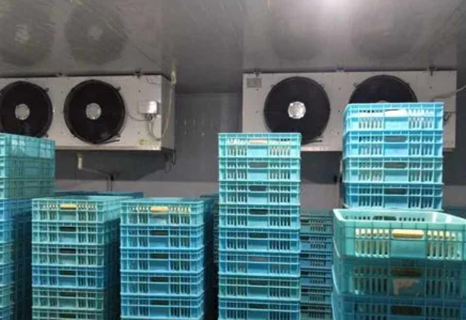 保鲜冷库工程设计规范标准要求 保鲜冷库工程设计规范标准要求