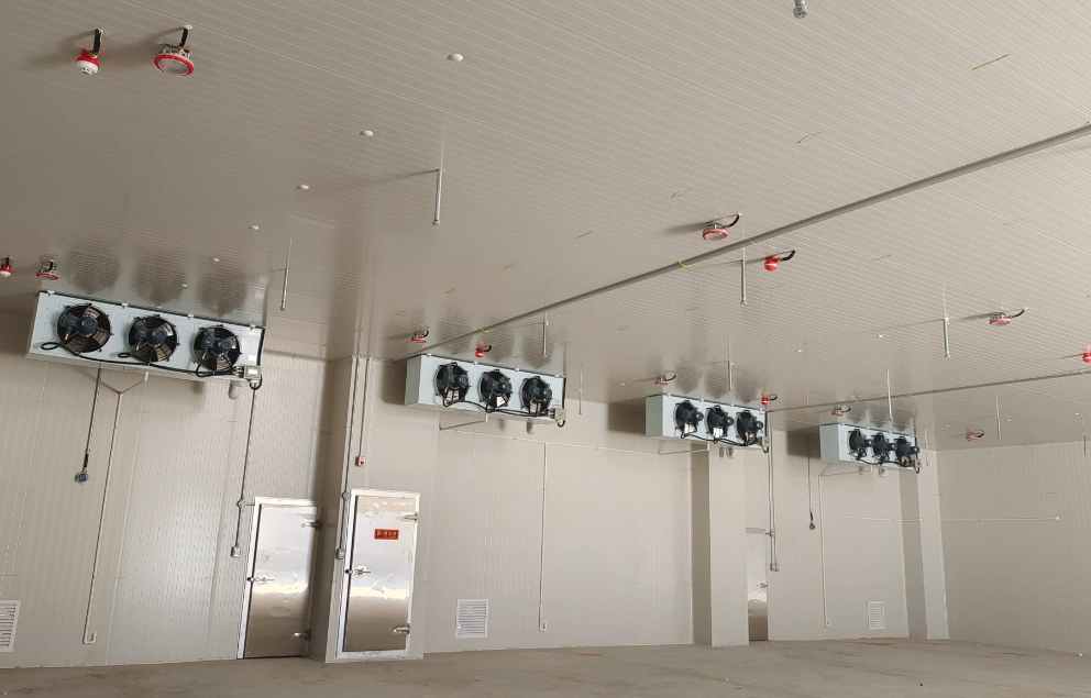 安装一个冷库多少钱一平方 安装一个冷库多少钱一平方