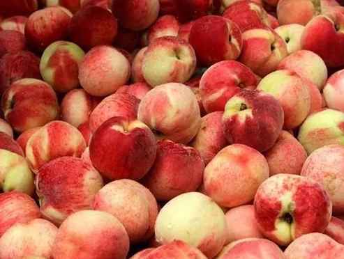 水蜜桃存贮在保鲜冷库里能放几天 水蜜桃存贮在保鲜冷库里能放几天