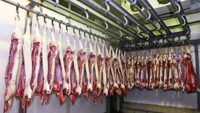 建一个羊肉保鲜冷库要多少钱 建一个羊肉保鲜冷库要多少钱