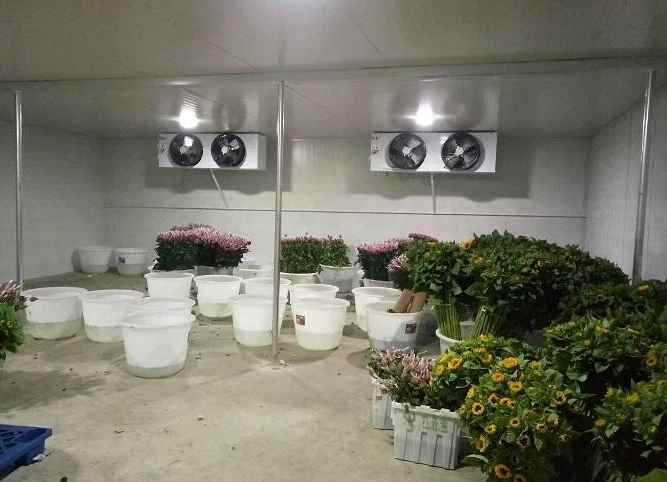 冷库维修时需要注意什么 冷库维修时需要注意什么