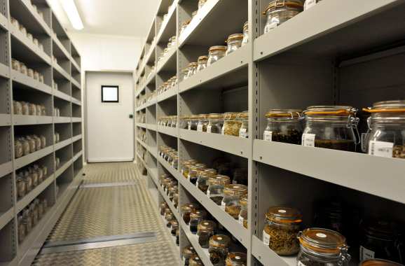 种子冷库安装注意哪些问题 种子冷库安装注意哪些问题