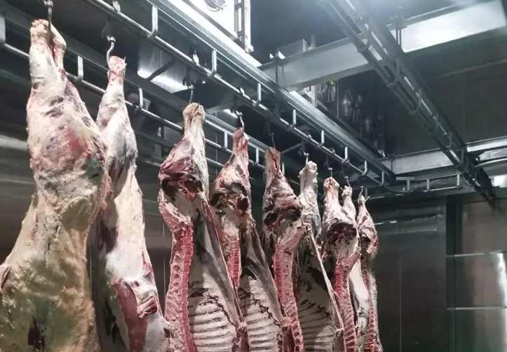 安装羊肉冷藏库大概要多少钱 安装羊肉冷藏库大概要多少钱