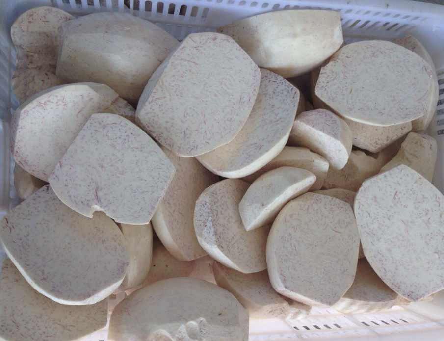 芋头速冻冷库可以存储多久? 芋头速冻冷库可以存储多久?