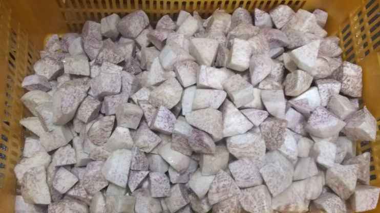 芋头速冻冷库可以存储多久 芋头速冻冷库可以存储多久