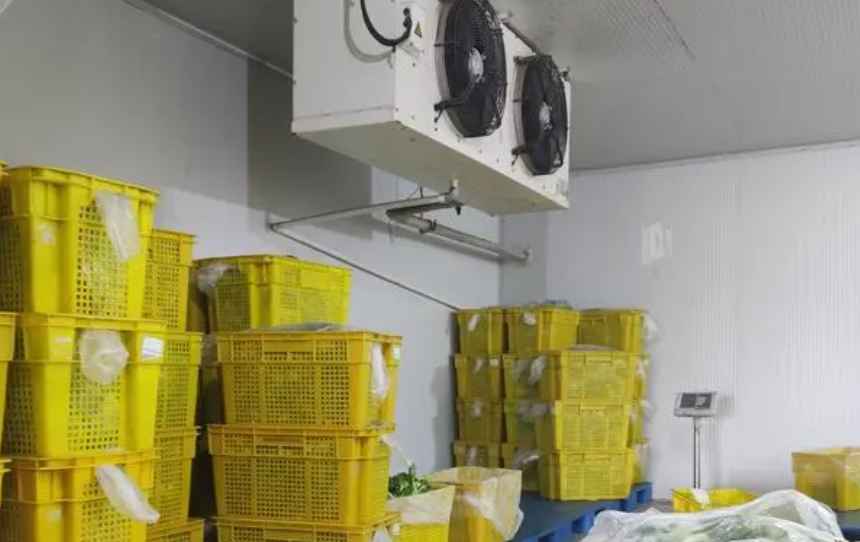果蔬保鲜冷库安装有哪几点注意事项 果蔬保鲜冷库安装有哪几点注意事项