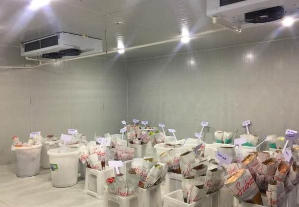 花卉小型冷库建设多少钱一平方 花卉小型冷库建设多少钱一平方