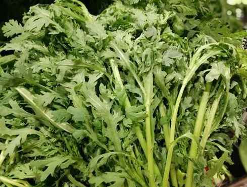 茼蒿冷库保鲜储存方法 茼蒿冷库保鲜储存方法