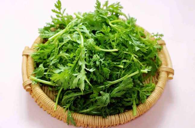 茼蒿冷库保鲜储存方法 茼蒿冷库保鲜储存方法