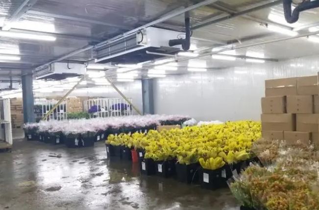 杭州冷库安装公司如何选择 杭州冷库安装公司如何选择