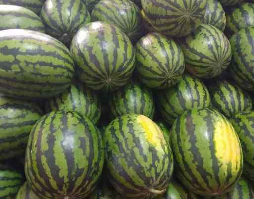 小型西瓜保鲜冷库安装多少钱 小型西瓜保鲜冷库安装多少钱