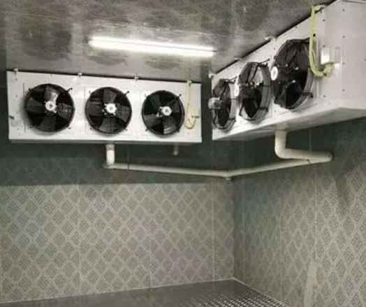 安装20平米的速冻冷库需要多少钱 安装20平米的速冻冷库需要多少钱