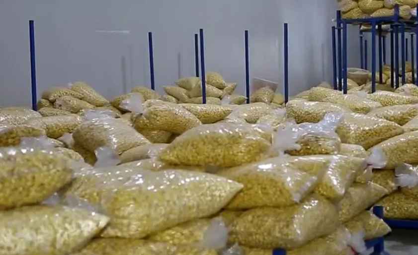 板栗冷库温度设定多少度合适 板栗冷库温度设定多少度合适