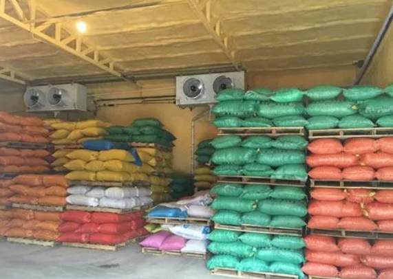 板栗冷库温度设定多少度合适 板栗冷库温度设定多少度合适