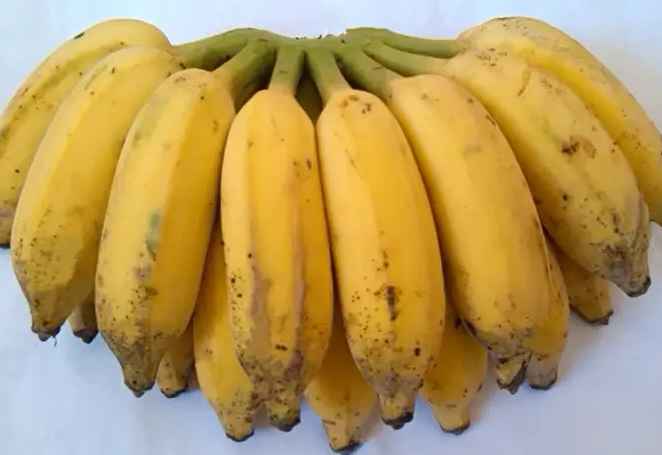 建一个两千平方芝麻蕉冷库得多少钱 建一个两千平方芝麻蕉冷库得多少钱