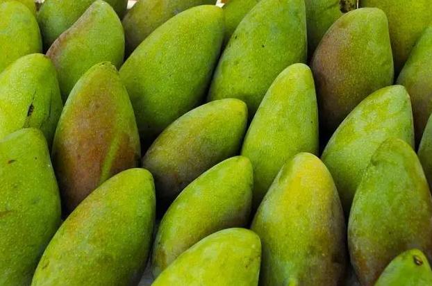 建一个200吨芒果保鲜库多少钱 建一个200吨芒果保鲜库多少钱