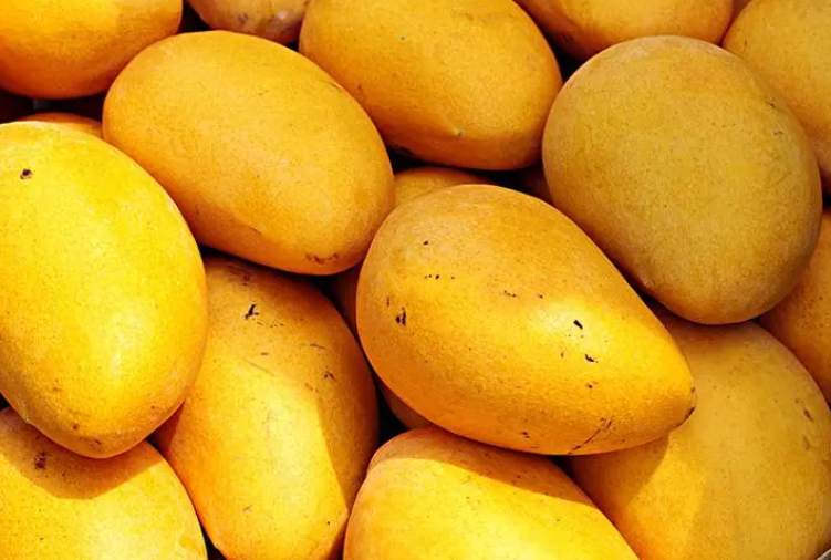 建一个200吨芒果保鲜库多少钱 建一个200吨芒果保鲜库多少钱