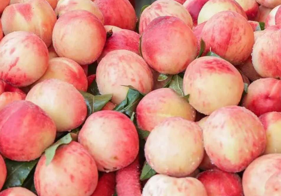 桃子在保鲜冷库中怎么去存放? 桃子在保鲜冷库中怎么去存放?