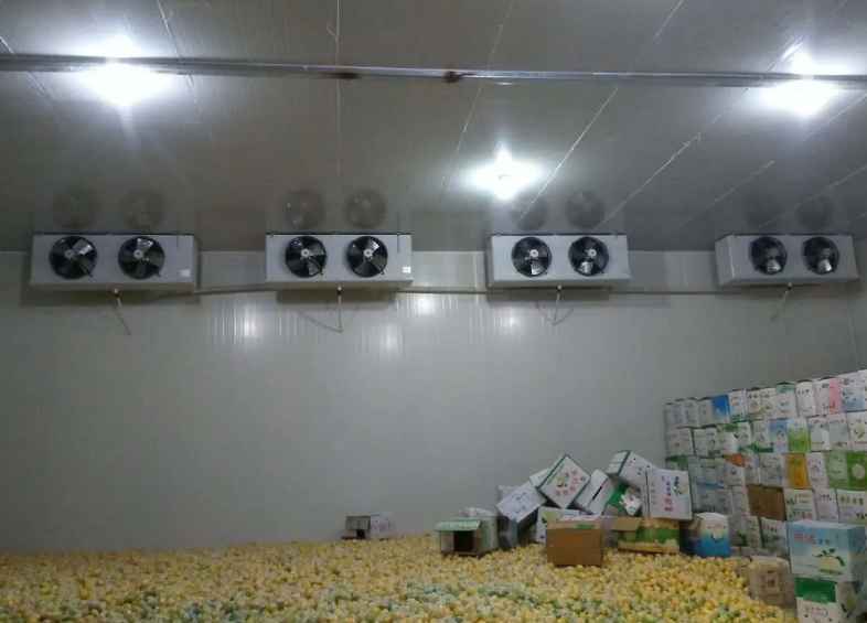 冷库的安全操作，您知道哪些