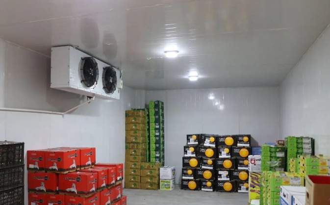 果蔬冷库工程建造项目解决方案