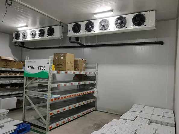 搭建大型保鲜冷库建造多少钱