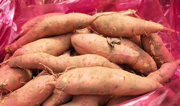 红薯保鲜库的建造大概需要多少钱