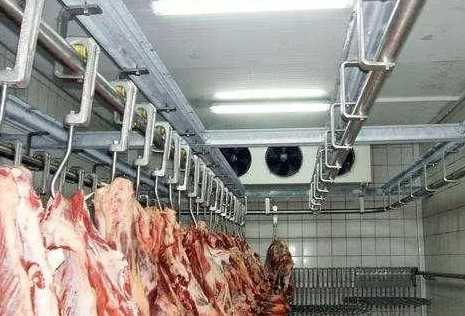 建1000平米猪肉冷藏库大约多少钱