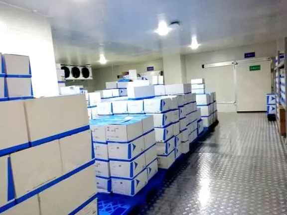 建造2000平方医药冷库多少钱